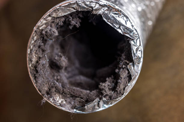 Best Best Air Duct Cleaning Company  in Wyldwood, TX